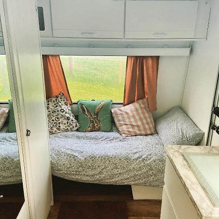 Hotel Cosy Caravan At Carrigeen Glamping Kilkenny Exteriér fotografie
