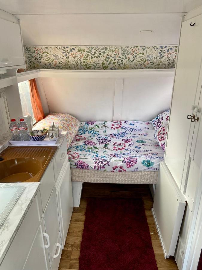 Hotel Cosy Caravan At Carrigeen Glamping Kilkenny Exteriér fotografie