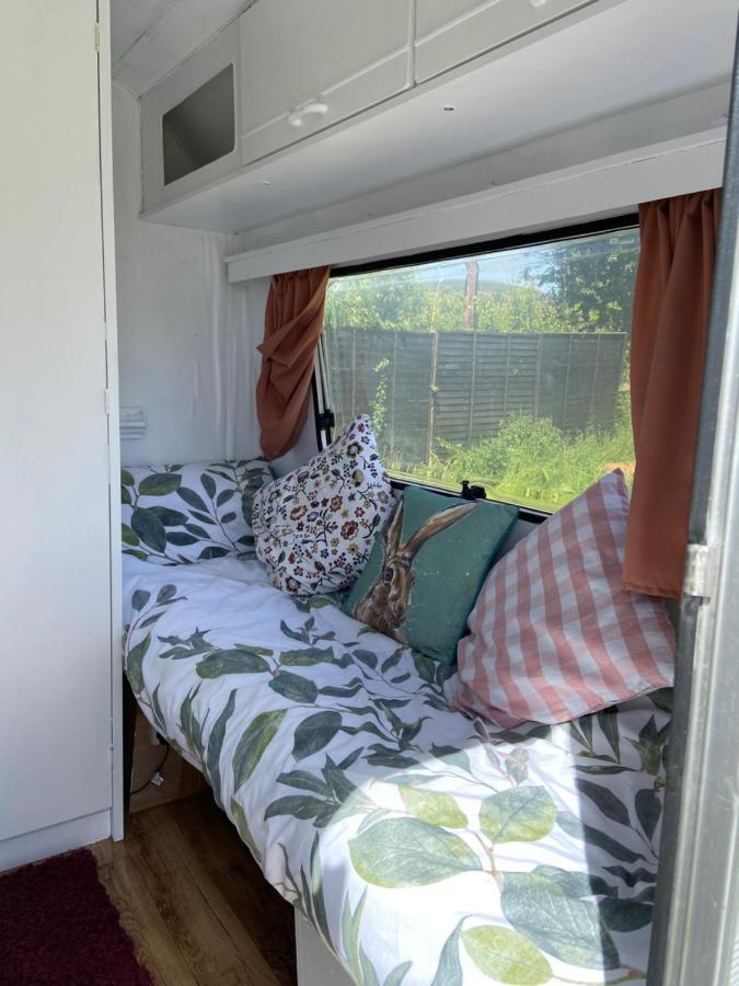 Hotel Cosy Caravan At Carrigeen Glamping Kilkenny Exteriér fotografie